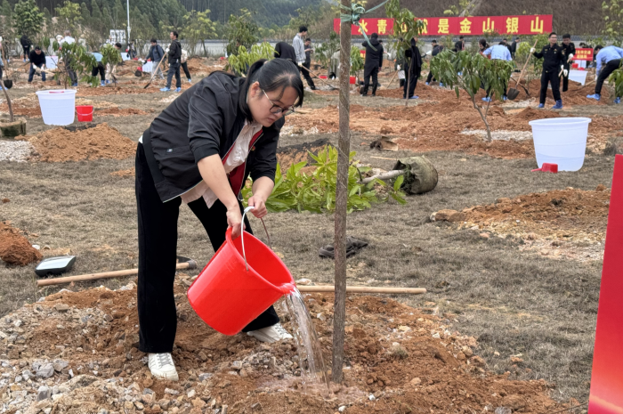 25年植树活动 (3)_副本.png